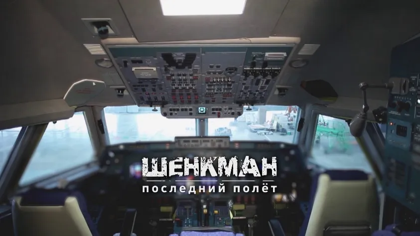 Shenkman. The Last Flight